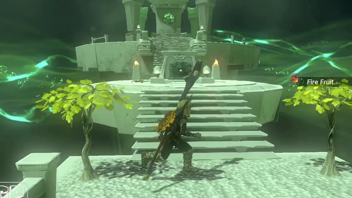 Link beside the small trees holding Fire Fruits at the entrance