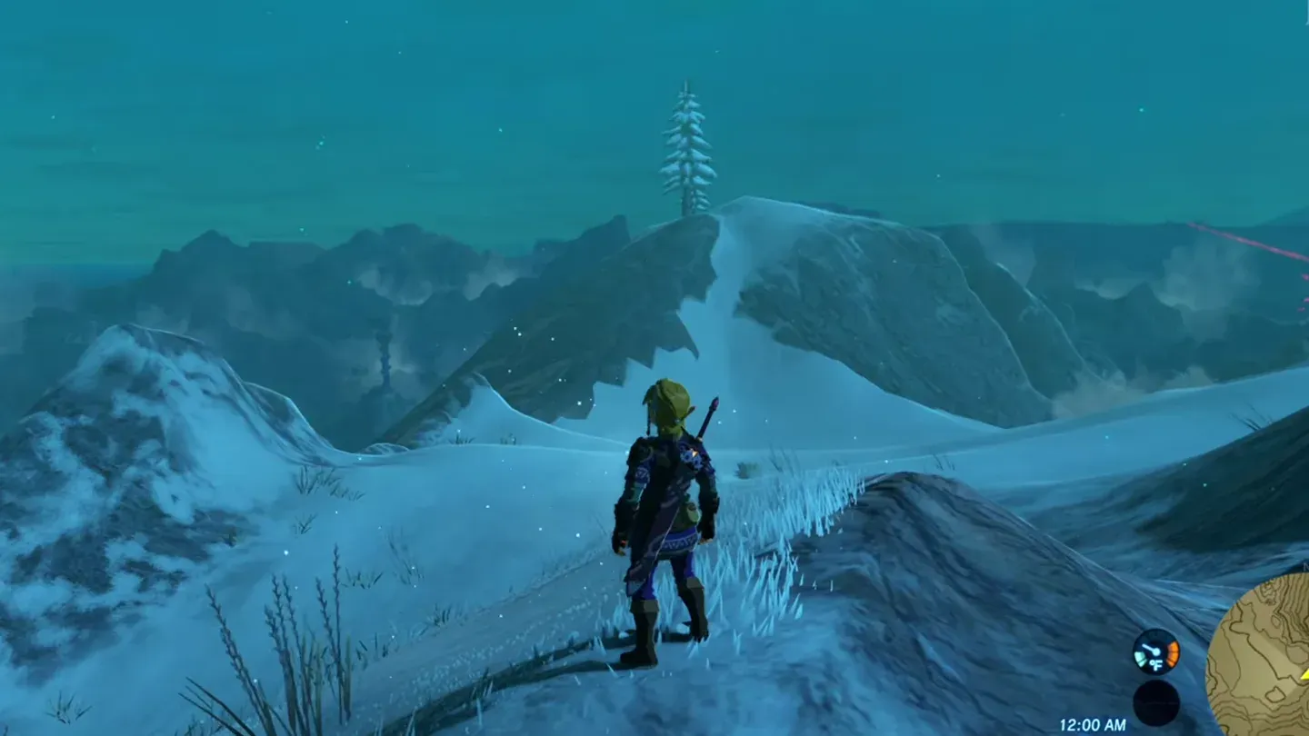 Link on the snowy summit looking at the cedars lined up as a single tree