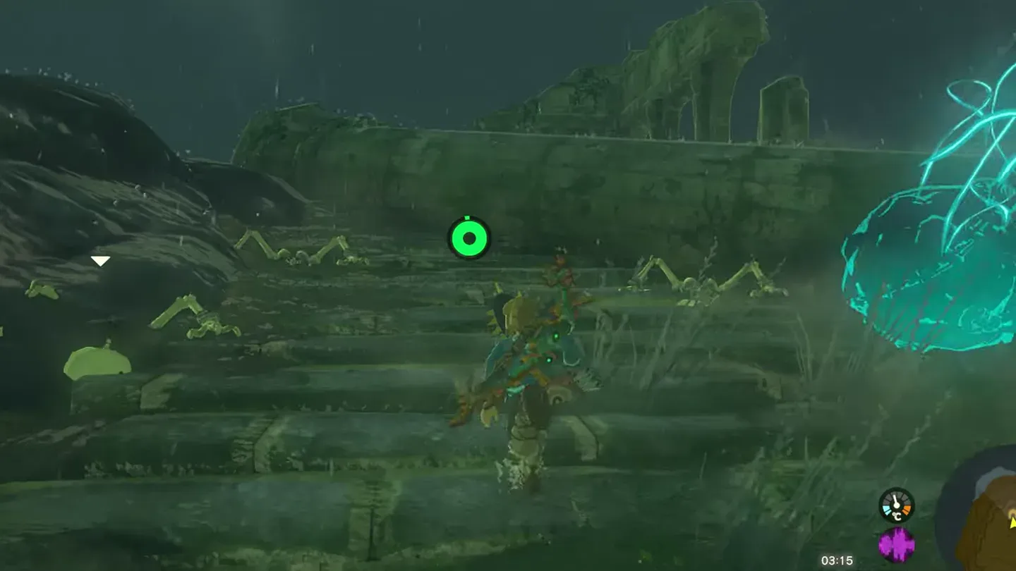 Link at the column ruins where the hole into Tarm Point Cave opens