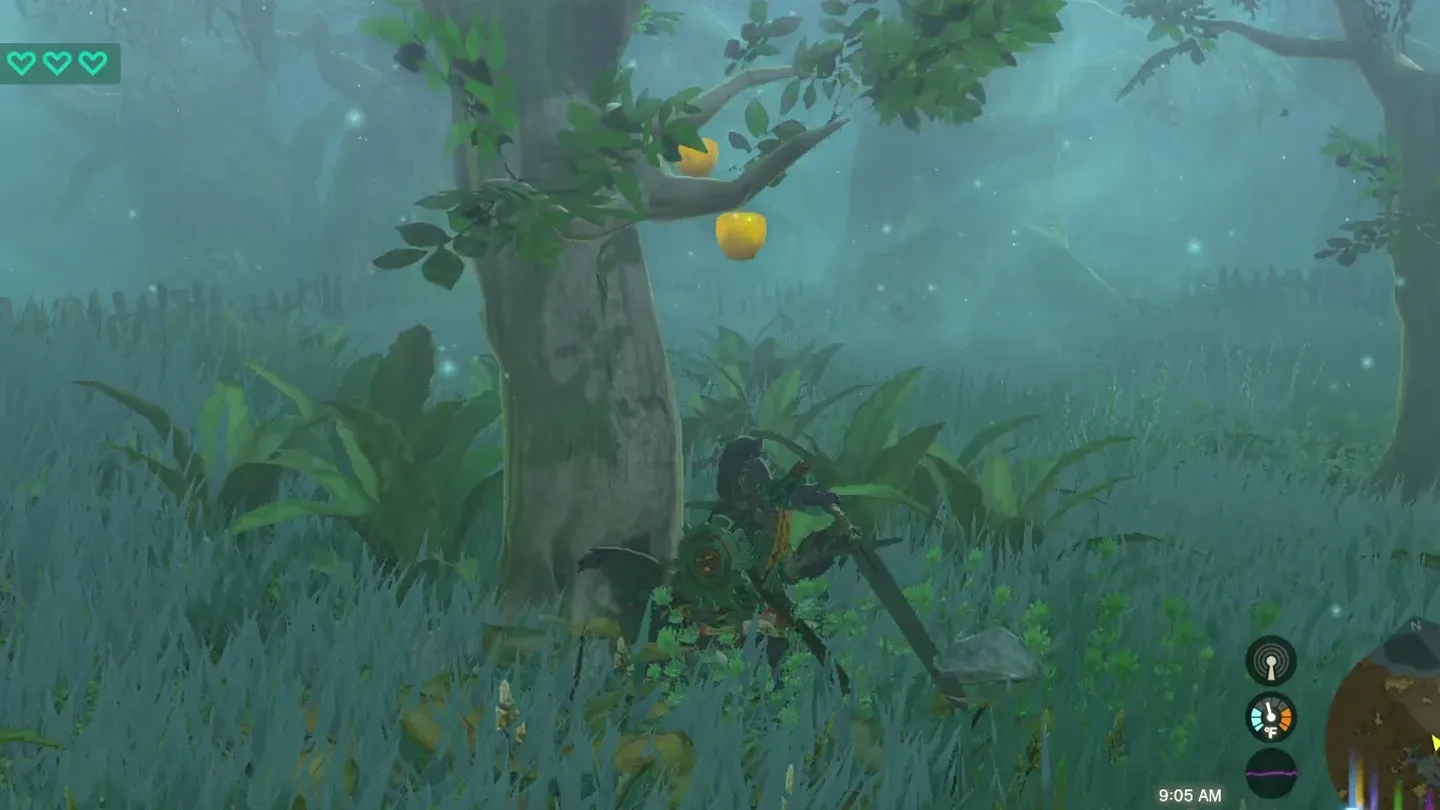 A tree with Golden Apples hanging from it