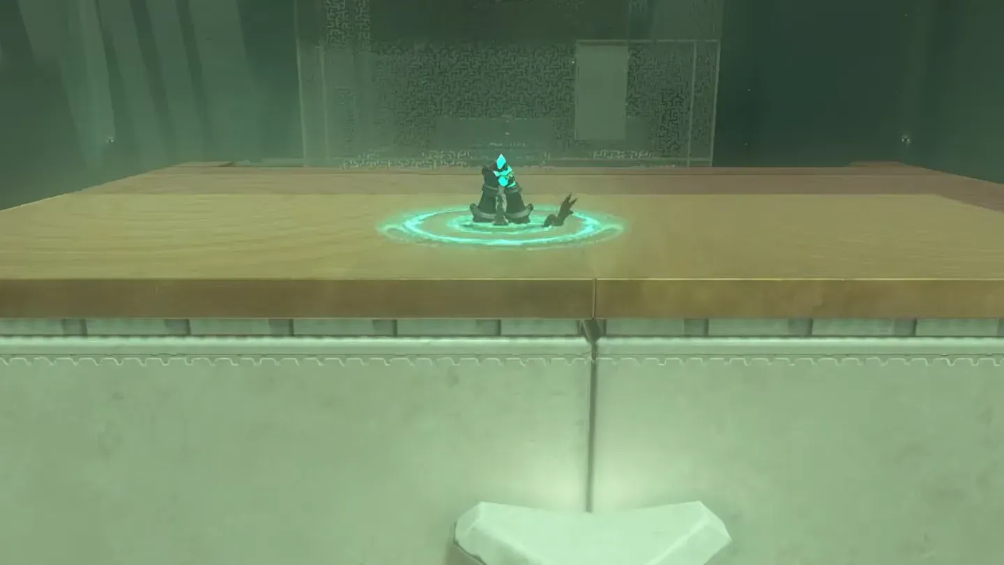 Link standing on top of the first pillar after Ascending through it