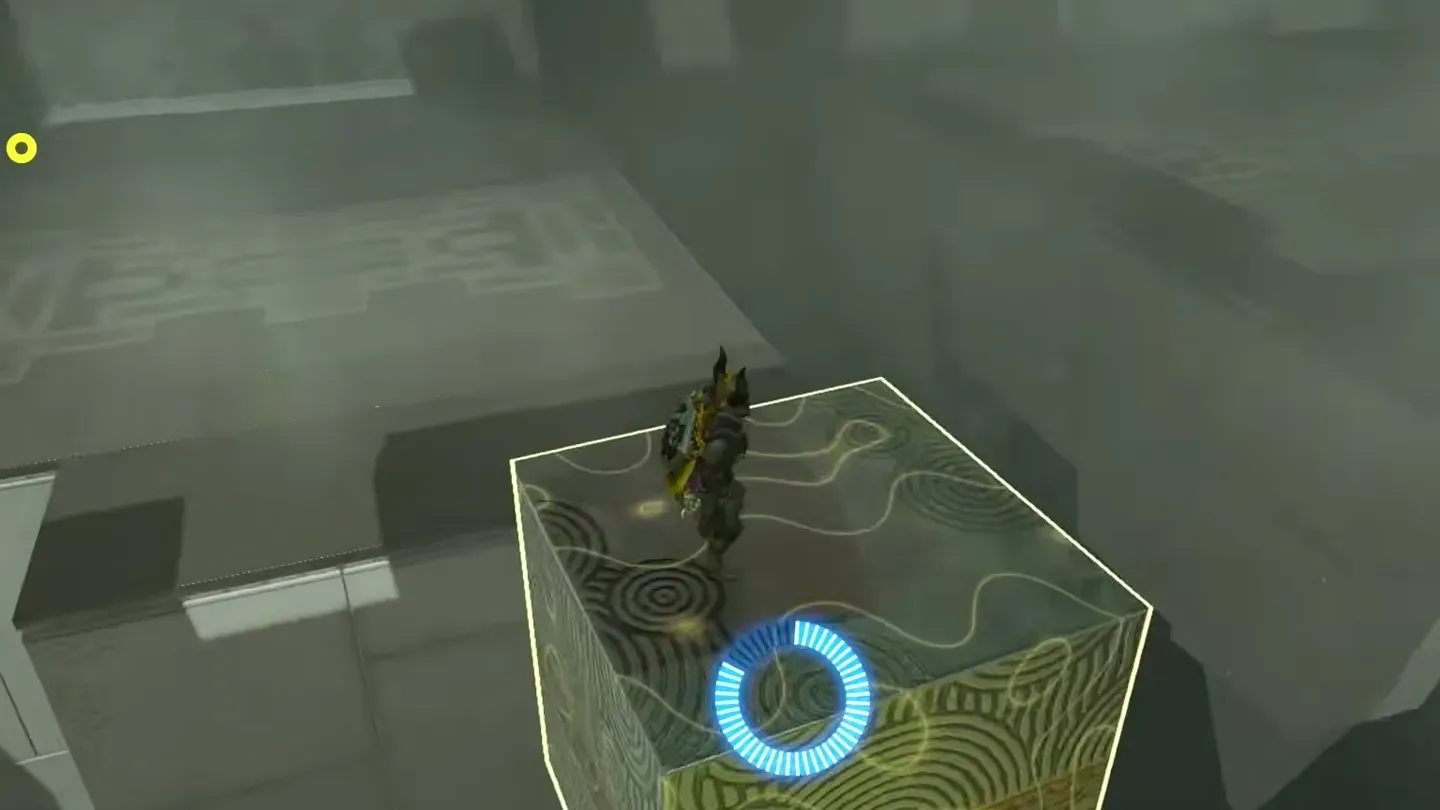 Link standing on top of the box with the blue Recall ring on it