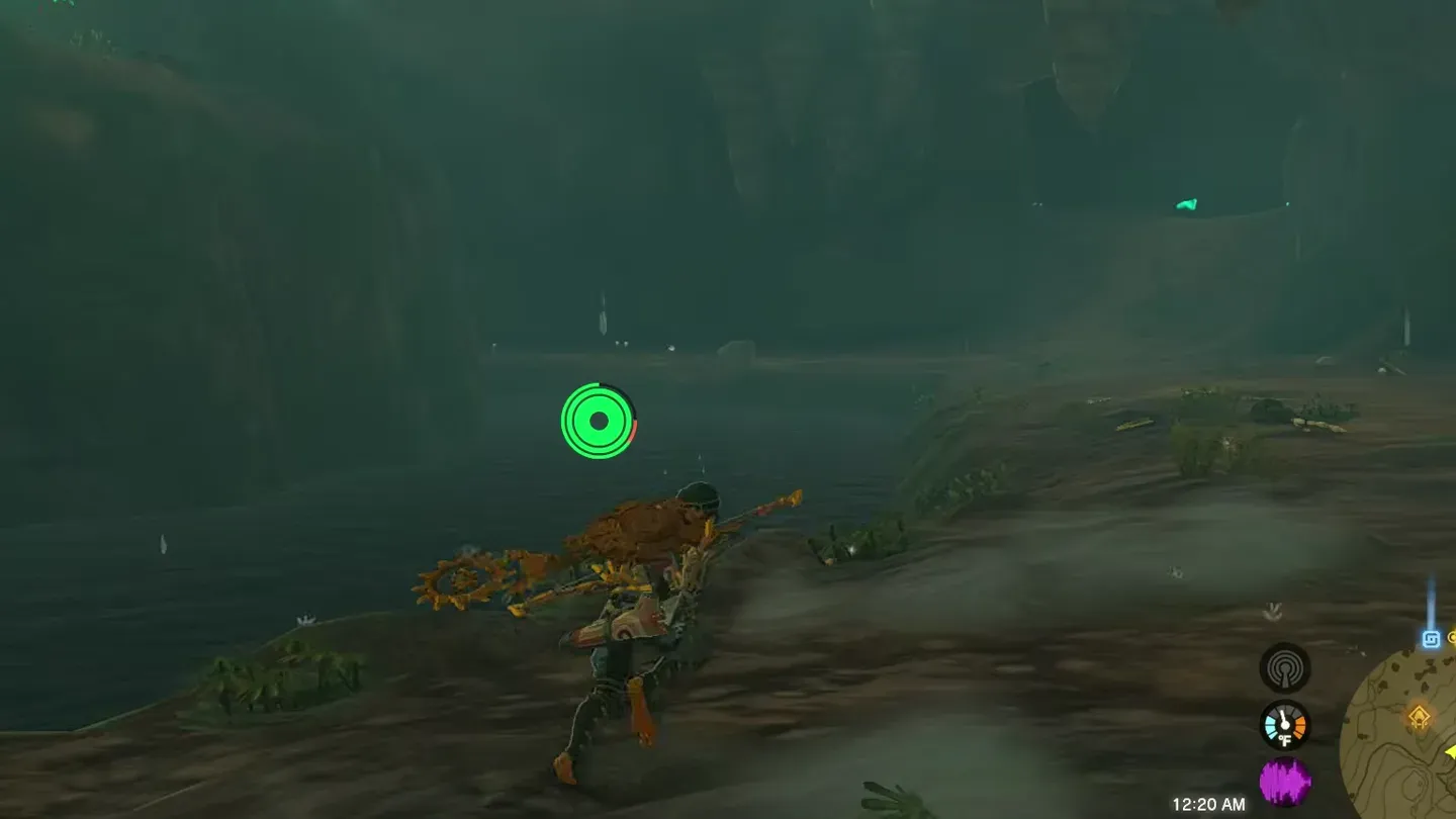 Link on the shore of the dark underground lake
