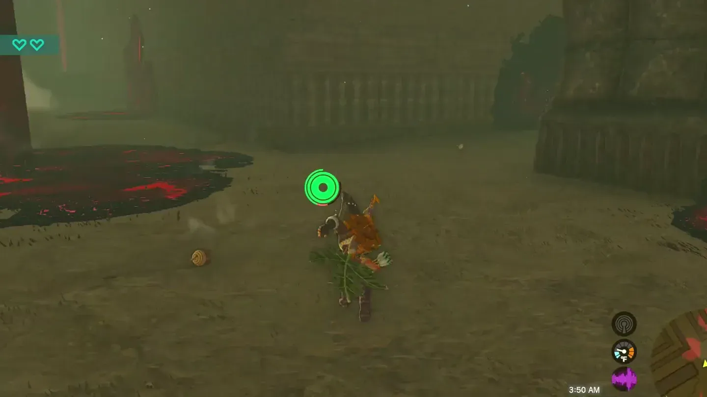 A nut lying on the ground at the start of the labyrinth
