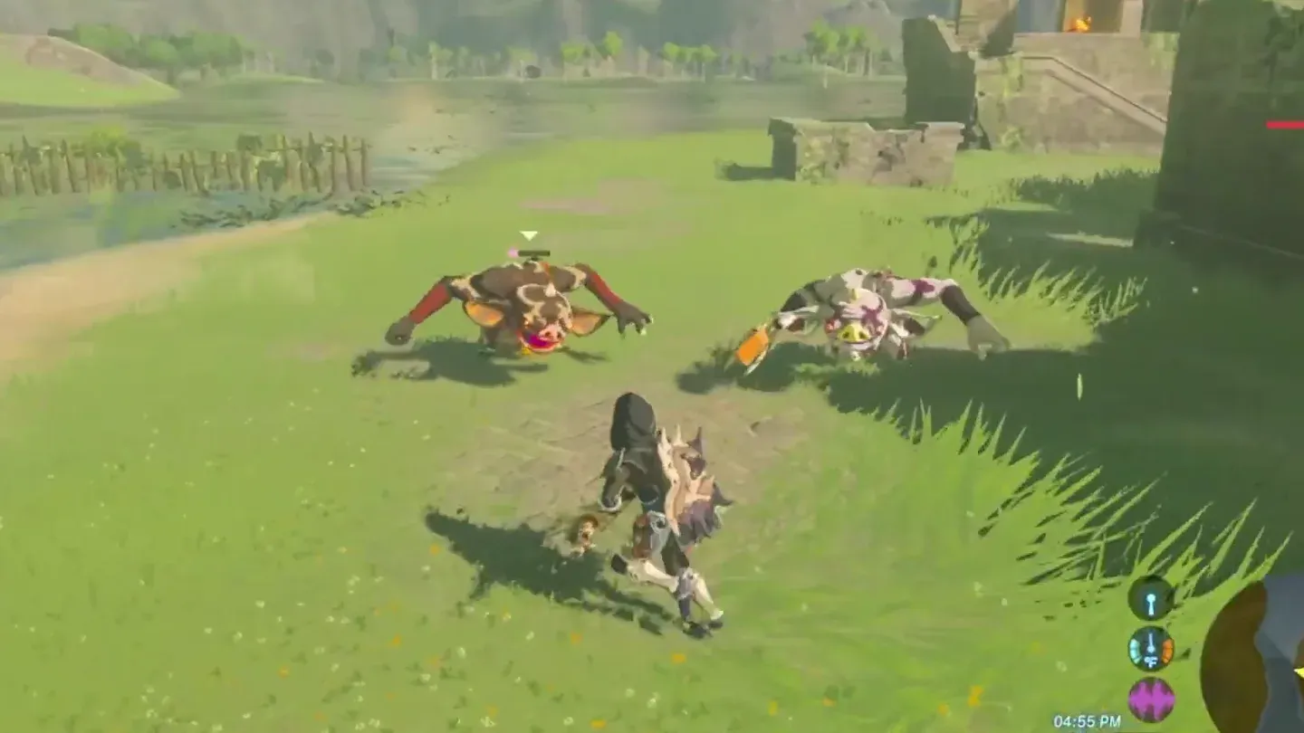 Link facing two Bokoblins on a grassy field; the one on the right is white with purple markings