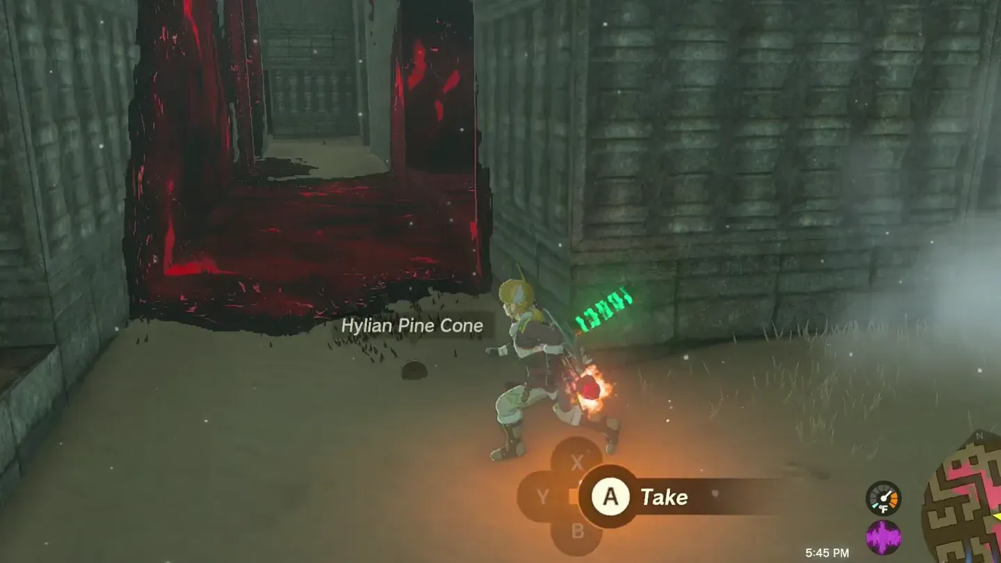 A Hylian Pine Cone lying on the ground by Link