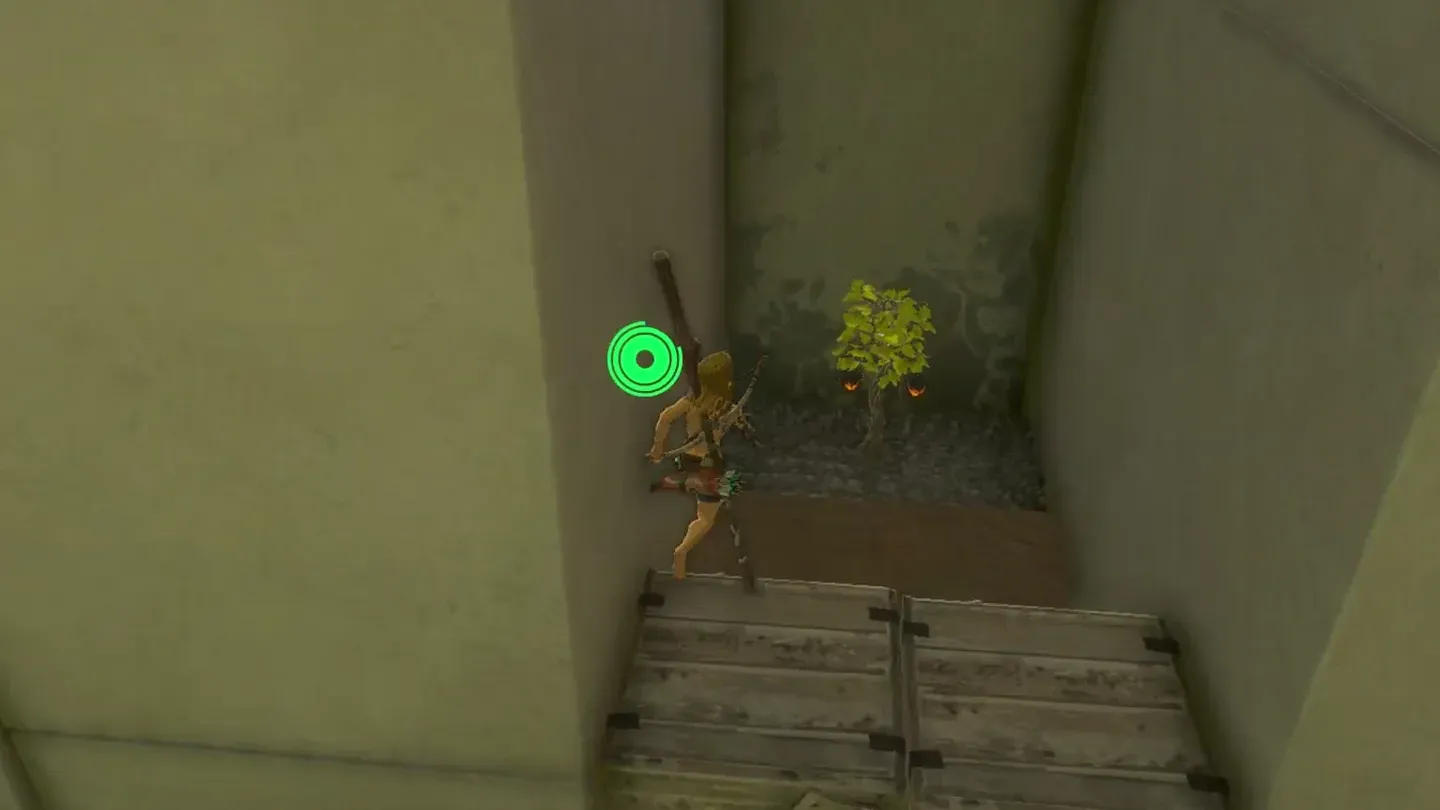 Link picking Fire Fruit from the small tree by the crates