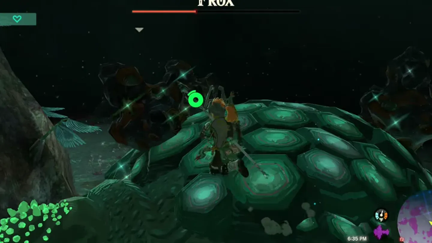 Link on the Frox's back, green ore growing out of it