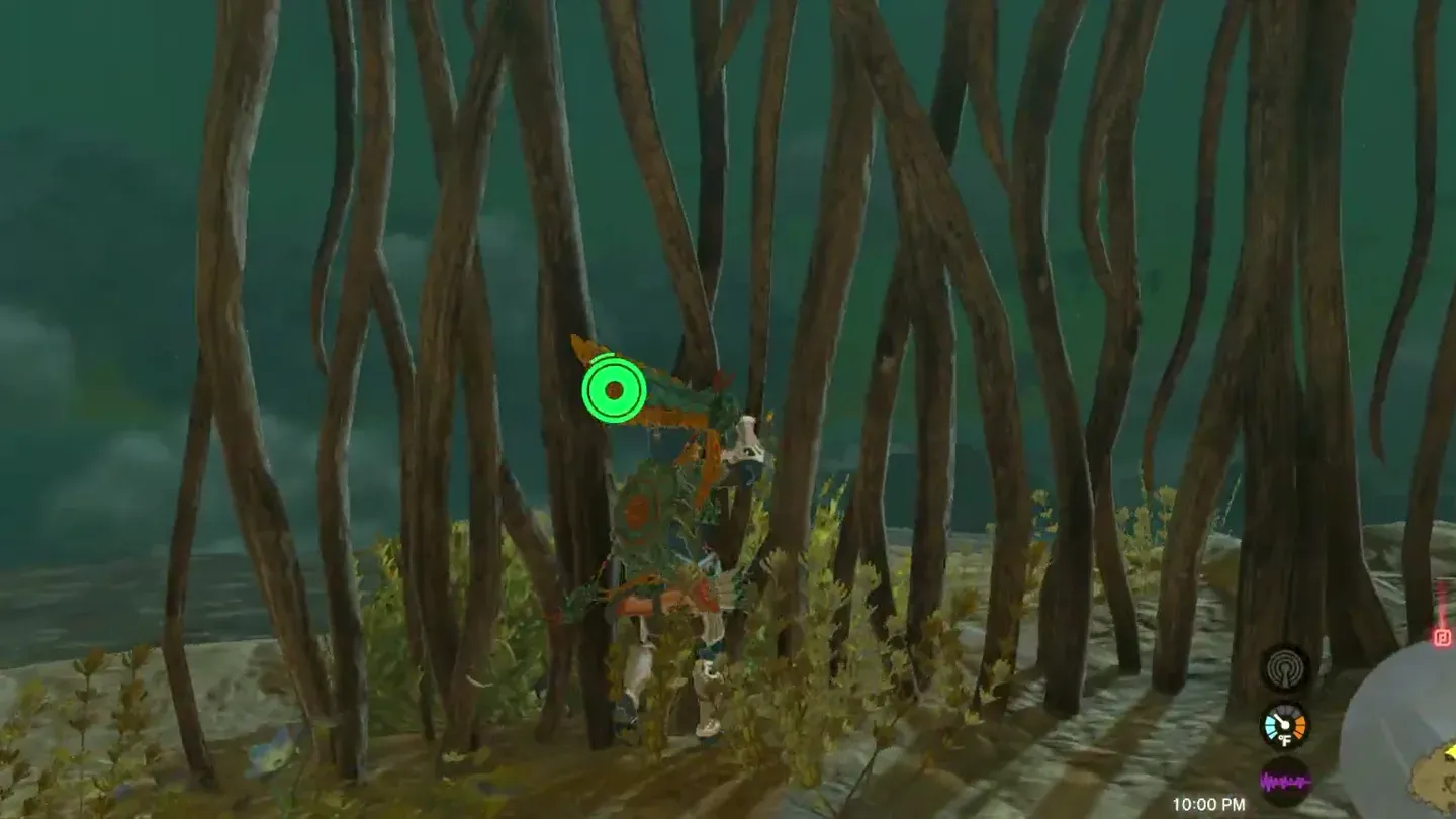Link among the wooden vines on the ledge