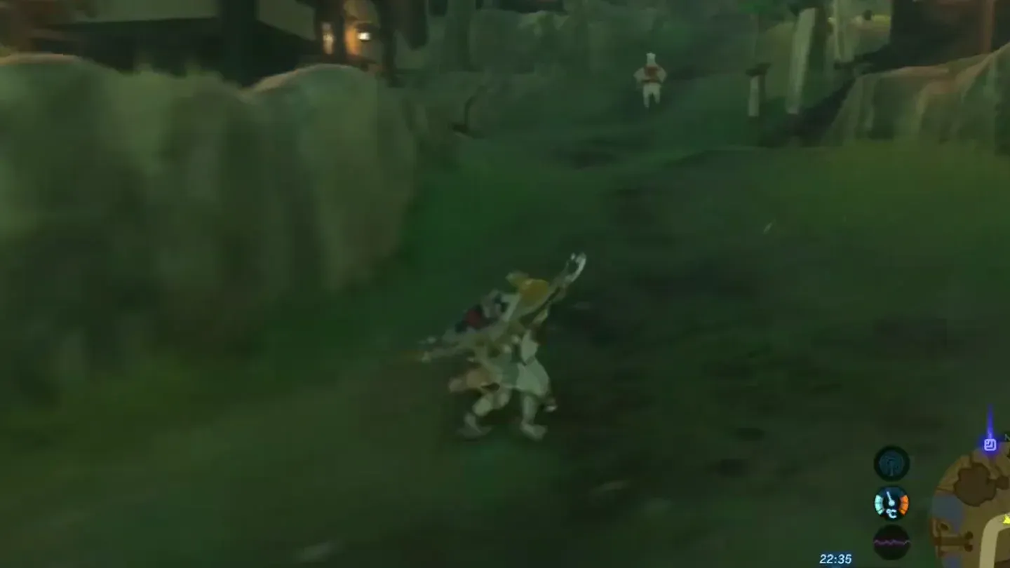 Link trailing Dorian at a distance across the village at night