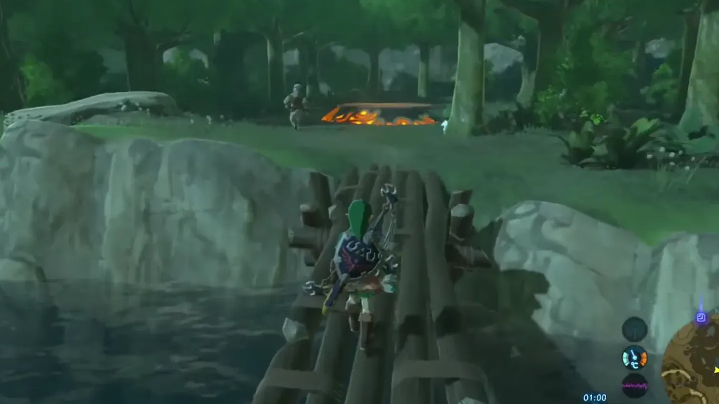 Link on the log bridge, the glowing pedestal beyond it