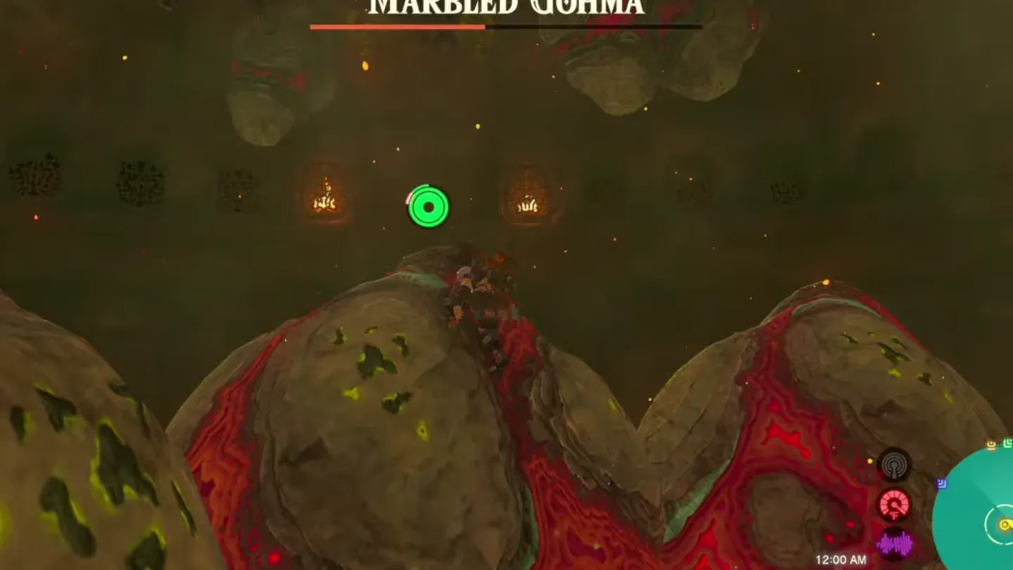 Link on top of the fallen Marbled Gohma