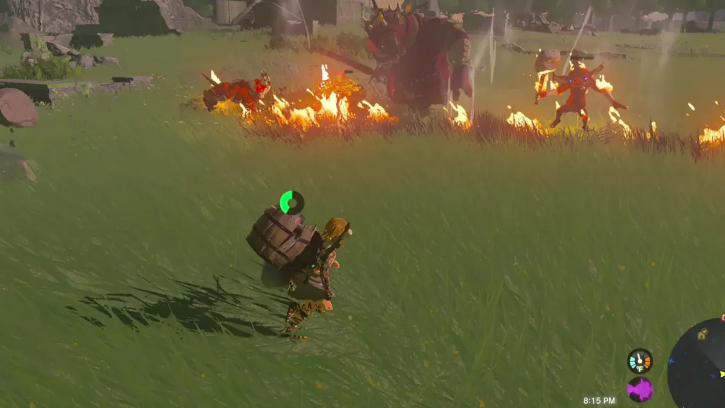 A strip of burning grass between Link and a Boss Bokoblin with its red Bokoblins