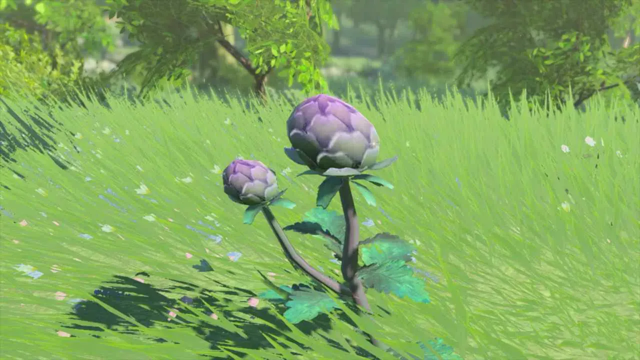 背の高い草の中に生えているヨロイソウ