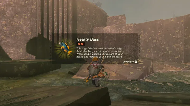 Hearty Bass item description after Link collects one in a sky-island pool