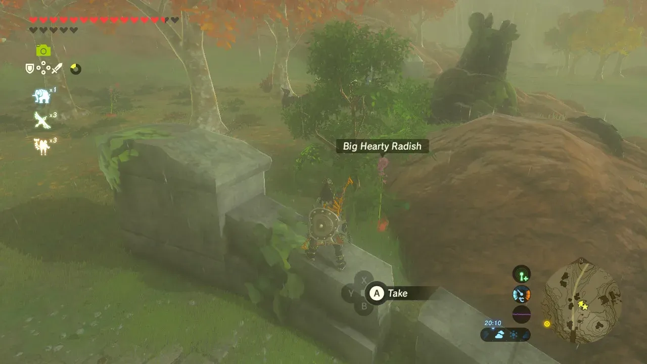 Link about to pick a Big Hearty Radish beside a ruined stone wall
