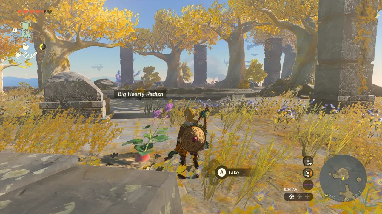 Link about to pick a Big Hearty Radish beside North Necluda's sky-island ruins