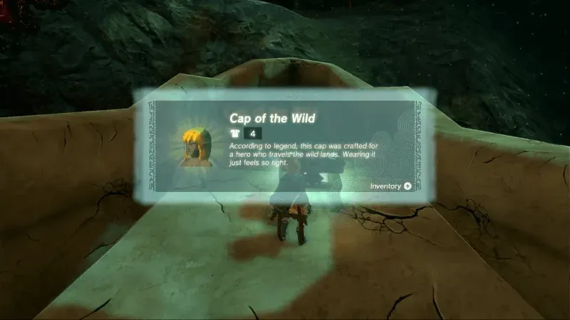 Getting the Cap of the Wild on the Hebra Dark Skeleton