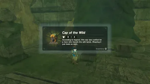 The Cap of the Wild item card