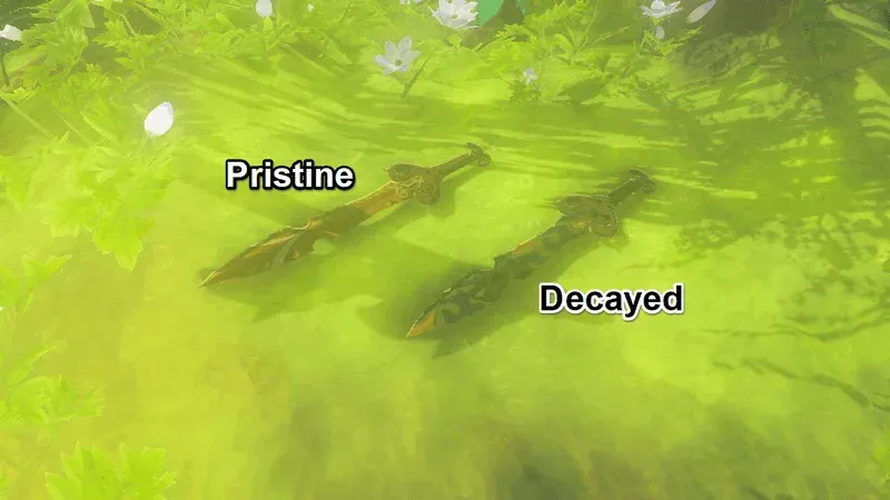 An intact and a decayed Forest Dweller's Sword lying side by side