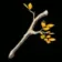 Tree Branch