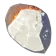 オルドラのウロコ
