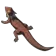 Hightail Lizard