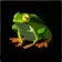Hot-Footed Frog