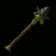 Forest Dweller's Spear