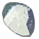ネルドラのウロコ