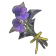 Swift Violet