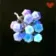 Ice Fruit