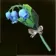 しのび草