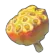 ゴーゴーハスの実