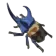 ツルギカブト