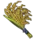 ハイラル米