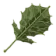 Korok Leaf