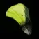 Frox Fingernail