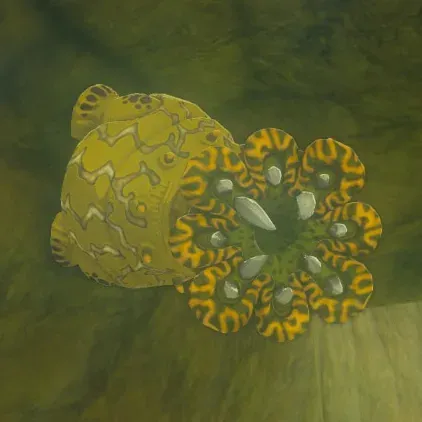A yellow Shock Like with zigzag stripes clinging to a mossy cave wall, its yellow and black mouth open