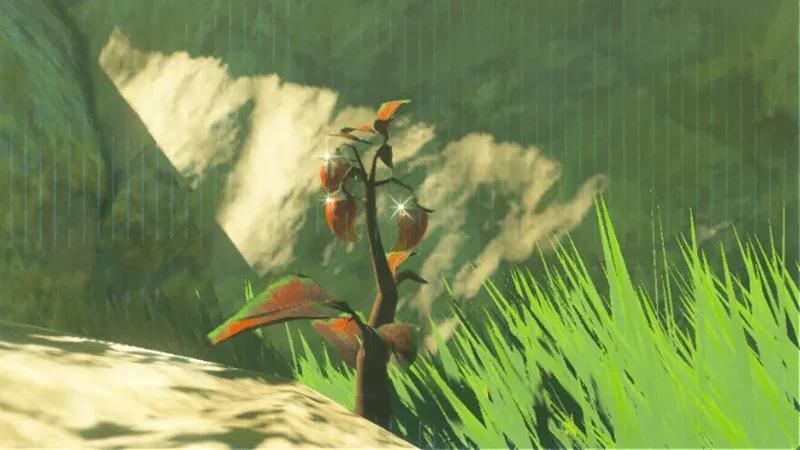 A Spicy Pepper plant at the foot of a rock