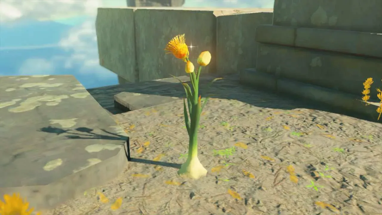石の遺跡のそばに生えているガンバリ草