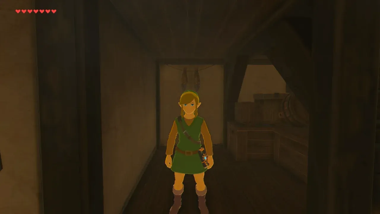 Link wearing the full Armor of the Hero